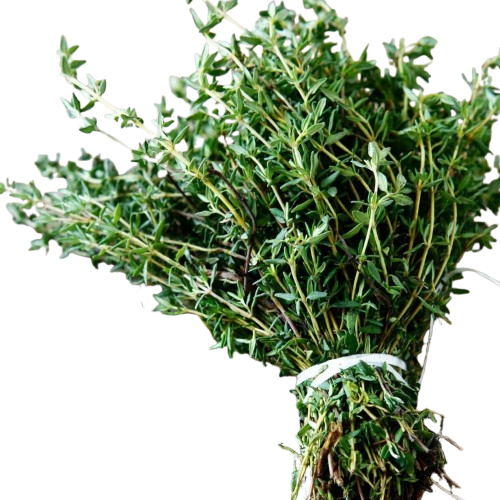 Thyme