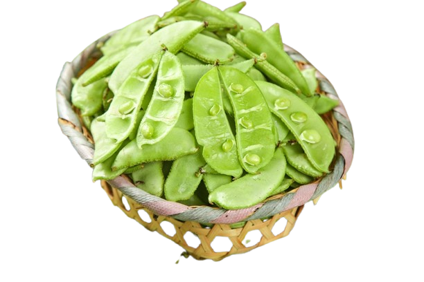 Nutritious, versatile, and sustainably grown — our lentils bring wholesome flavor and health to every meal.