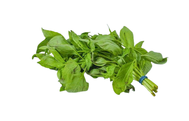 Basil