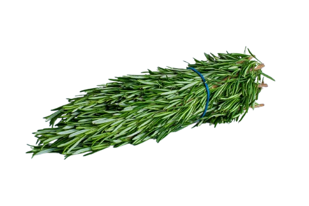 Fresh, aromatic, and sustainably grown — Griffins Rosemary brings natural flavor and wellness straight from the farm to your kitchen.