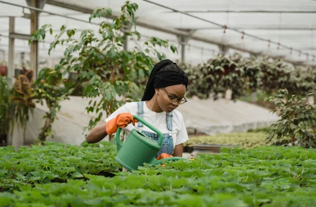 Crop insurance is no longer a luxury reserved for the agricultural giants.