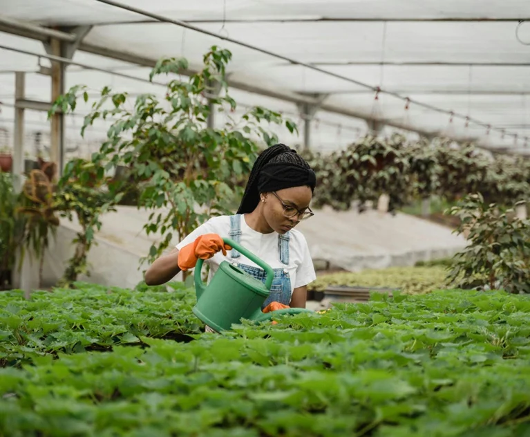 Crop insurance is no longer a luxury reserved for the agricultural giants.