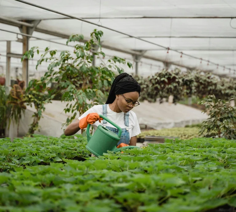 Crop insurance is no longer a luxury reserved for the agricultural giants.