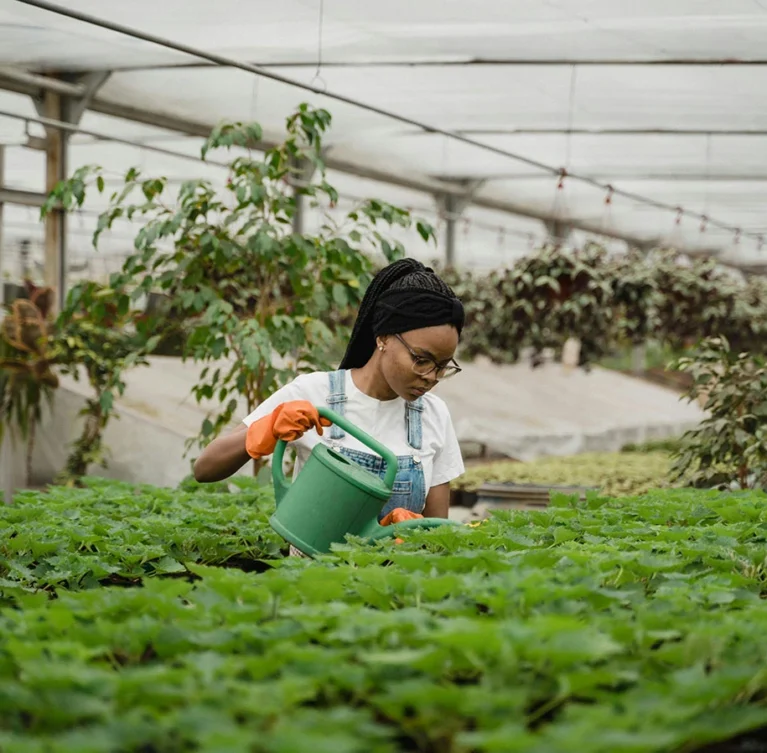 Crop insurance is no longer a luxury reserved for the agricultural giants.