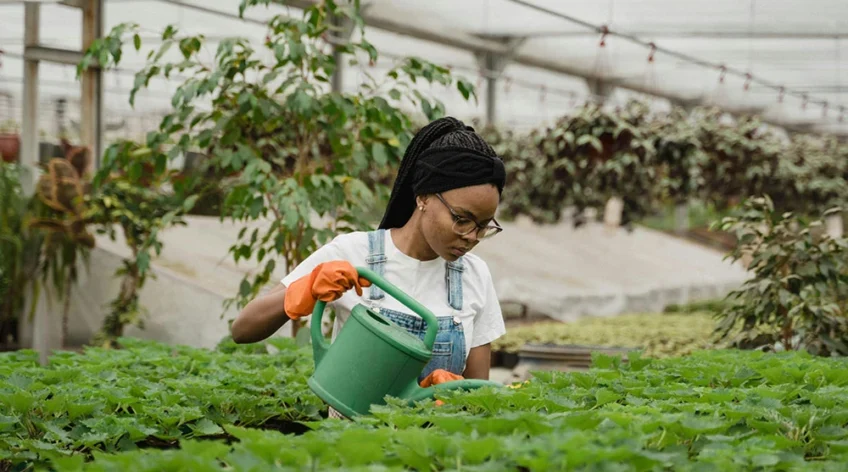 Crop insurance is no longer a luxury reserved for the agricultural giants.