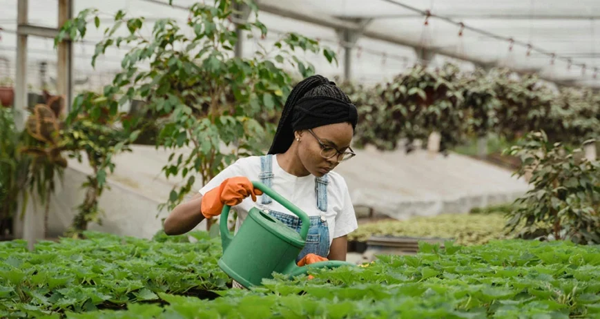 Crop insurance is no longer a luxury reserved for the agricultural giants.