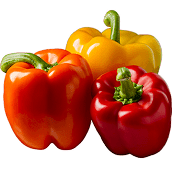 Coloured Capsicum
