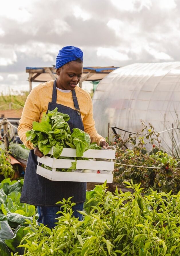 Agricultural Constultancy